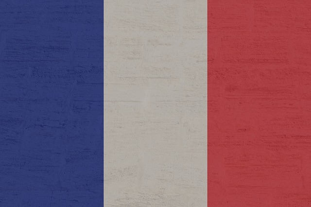France Discours Politique Langue Bois