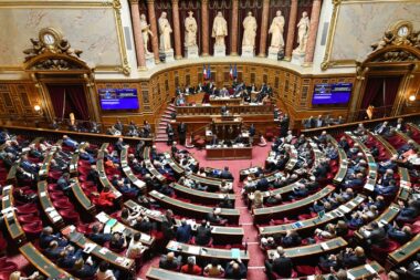 Ivg%20dans%20la%20constitution%20s%c3%a9nat%20adoption