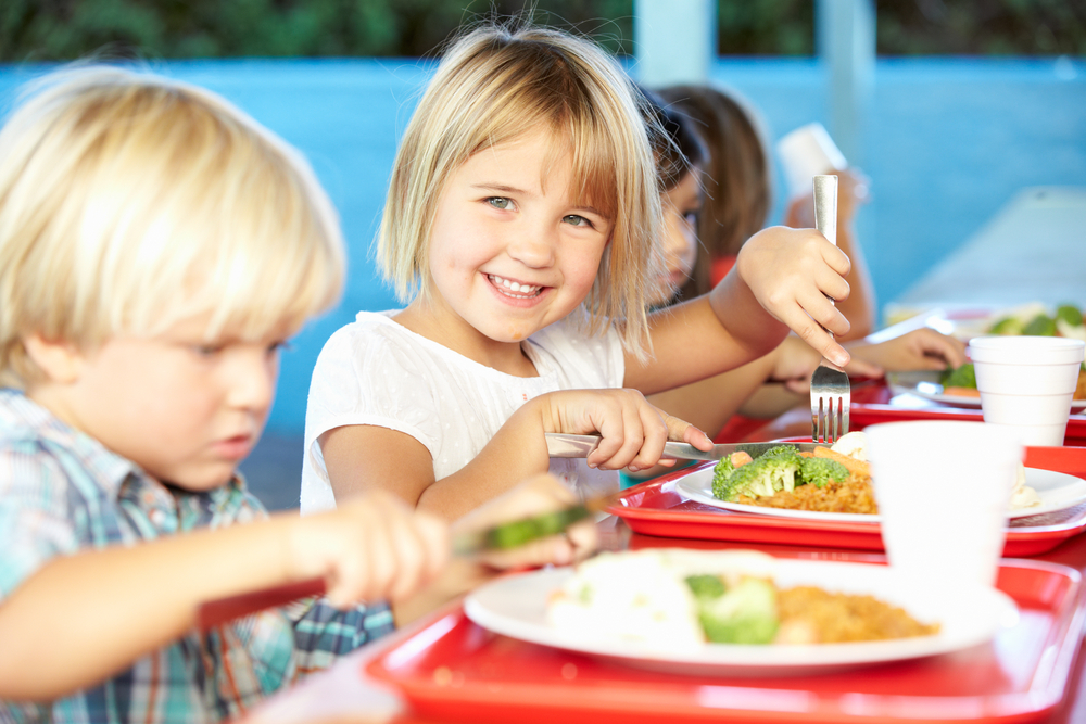 Repas Substitution Cantine Religions Laicite