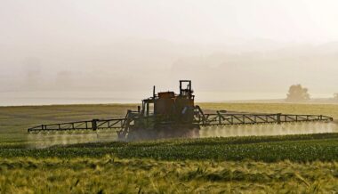 Renouvellement Glyphosate Europe