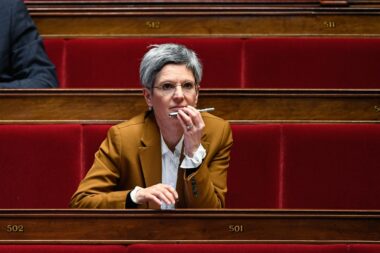sandrine-rousseau-incendies-consommation-viande